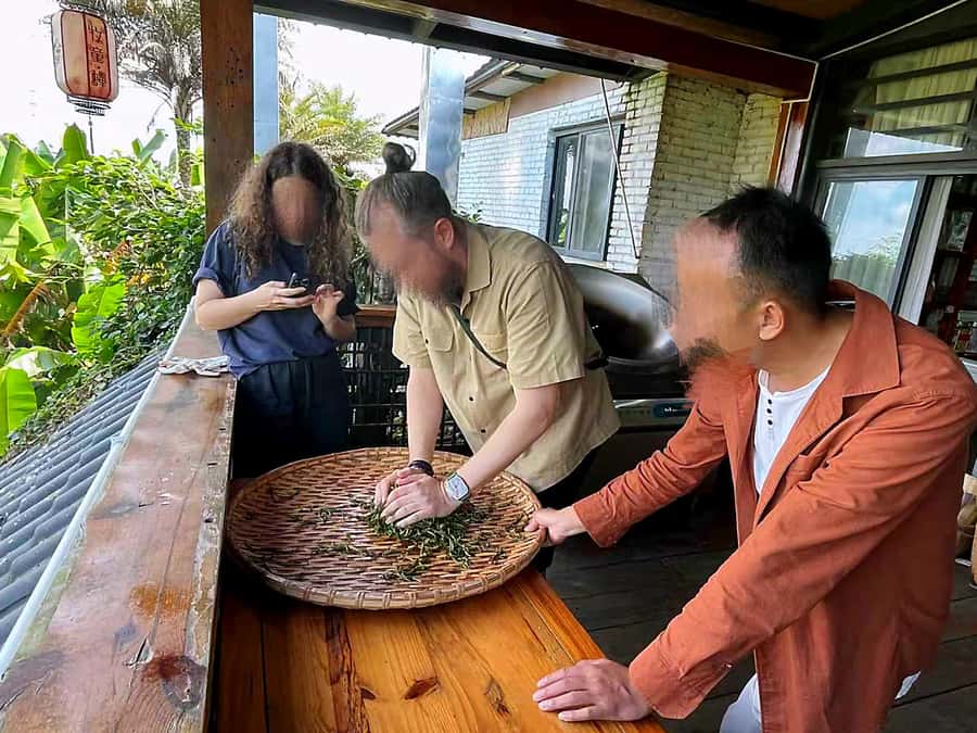 Puer Tea Picking and Tasting | 6 Hour Morning Trip - Picking tea leaves with local guidance