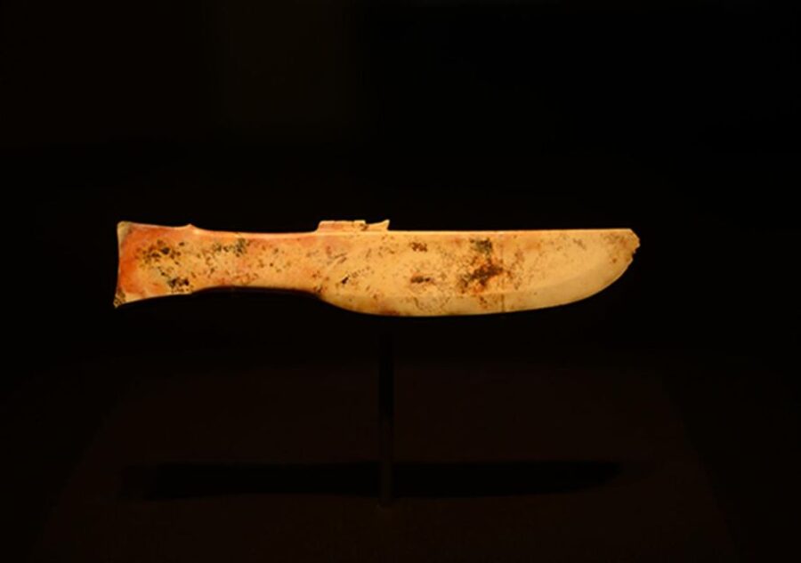 Sanxingdui Museum Small Group Tour with Optional Panda Base - Jade, bronze trees, and the ancient Shu story