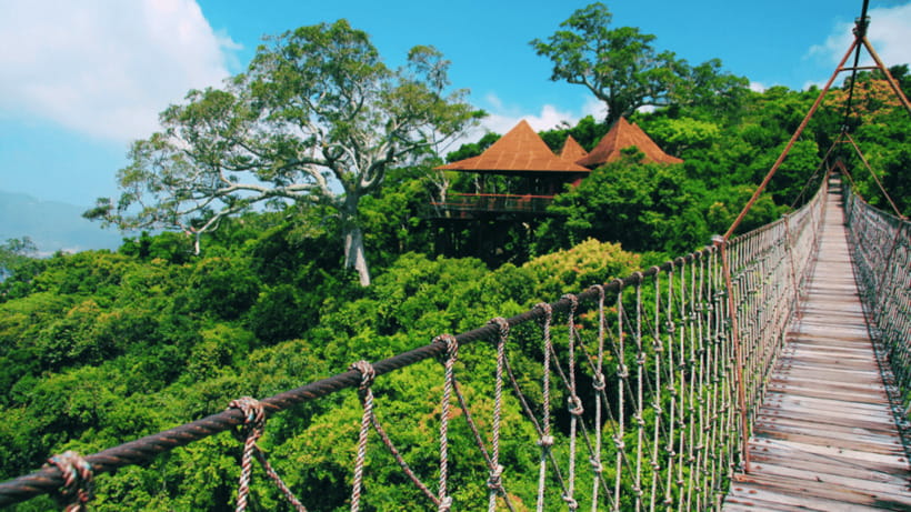 Sanya: Yalong Bay Tropical Forest Ticket and Tour Car - A rainforest day above Yalong Bay