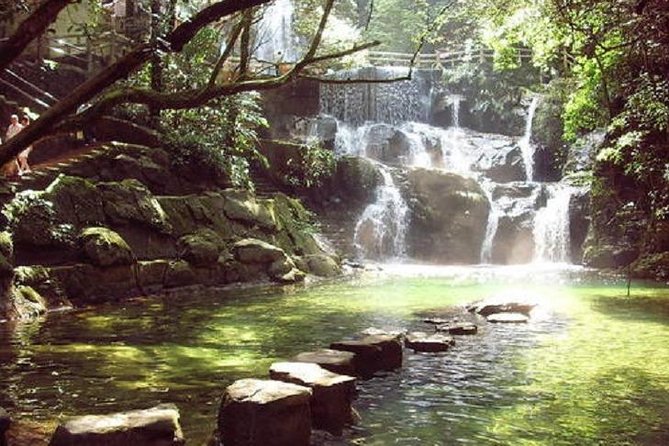 Seven Star Crag and Dinghu Mountain private day tour from Guangzhou - Damon’s guiding style is a real part of the value