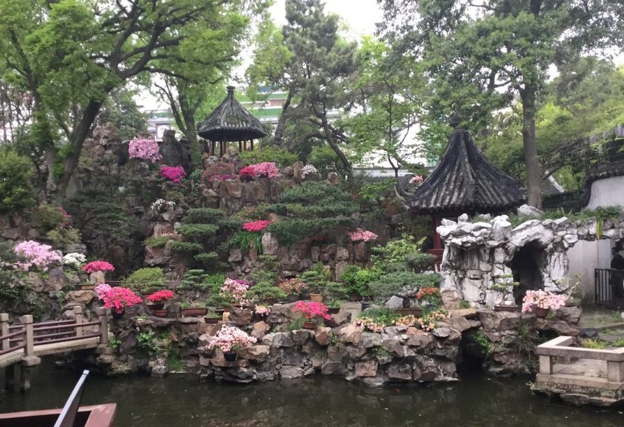 Shanghai: 8-Hour Guided Tour of Old and New City Highlights - A useful first day in Shanghai