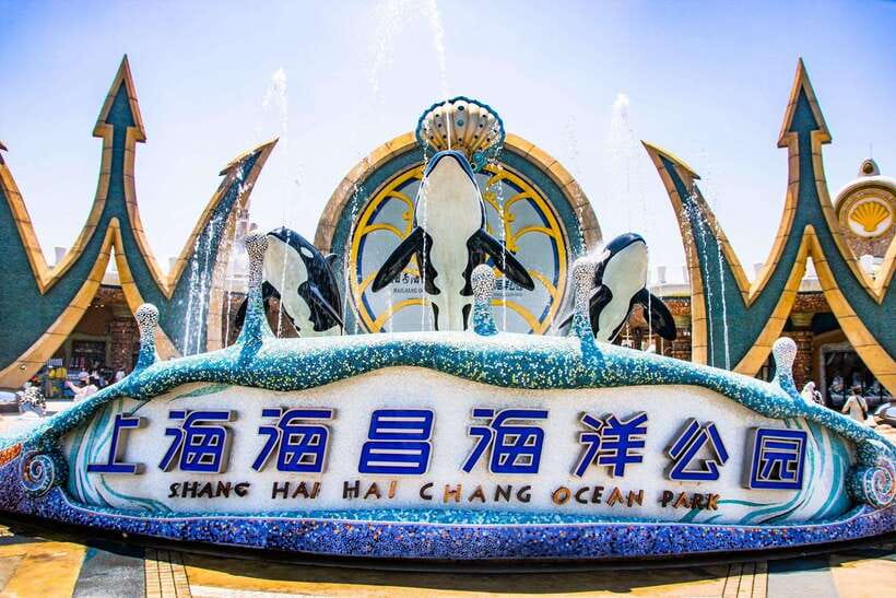 Shanghai: Haichang Ocean Park Adult Ticket - Why Shanghai Haichang Ocean Park feels different