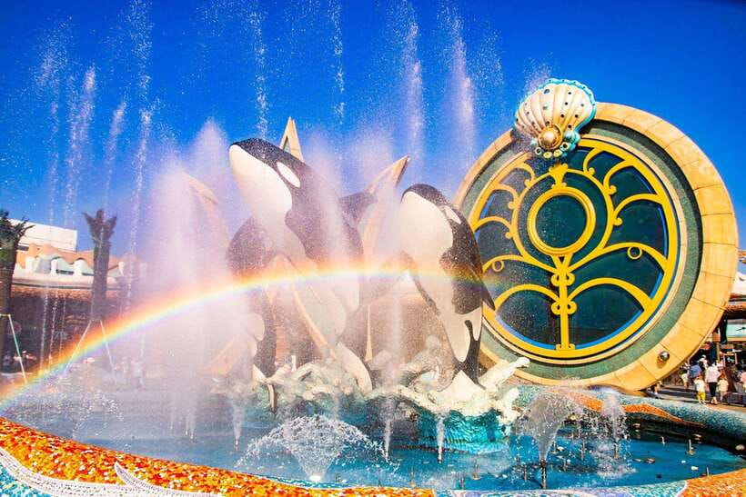 Shanghai: Haichang Ocean Park Adult Ticket - Orcas, dolphins, sea lions, and feeding programs