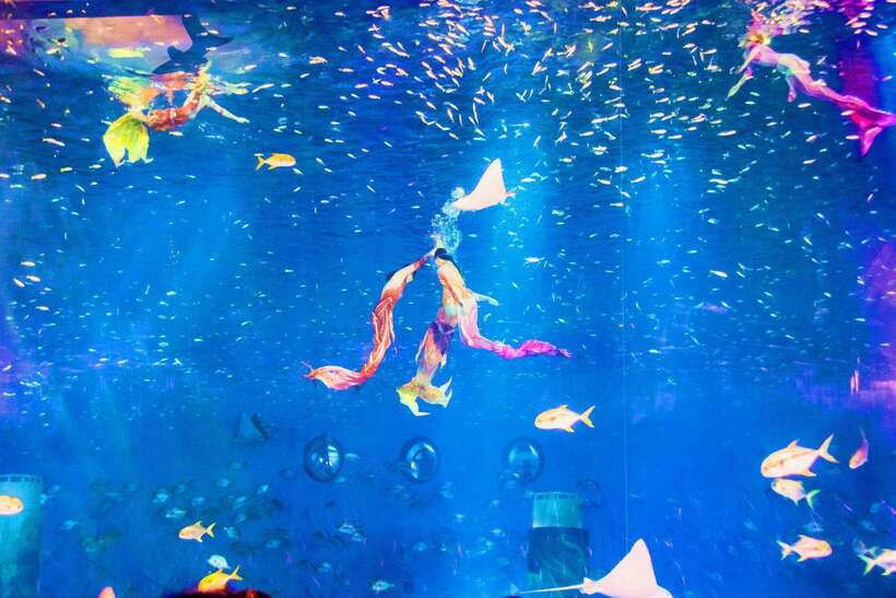 Shanghai: Haichang Ocean Park Adult Ticket - Access, rules, and booking details