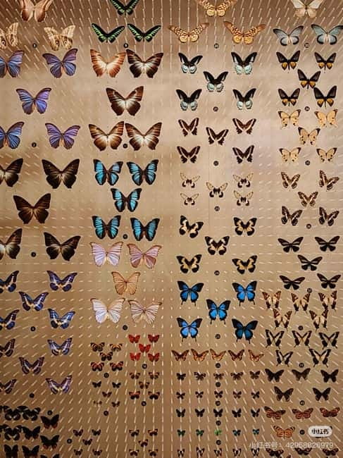 Shanghai: Natural Museum tickets with guide(optional) - Finding the museum in Jing’an Sculpture Park