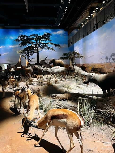 Shanghai: Natural Museum tickets with guide(optional) - Human connections and Shanghai stories