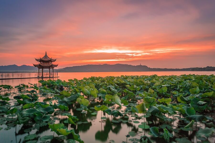 Shanghai: Private Guided Tour to Hangzhou by Bullet Train - Key points at a glance