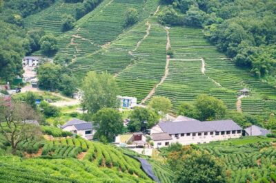 Private Guided Tour to Hangzhou by Bullet Train