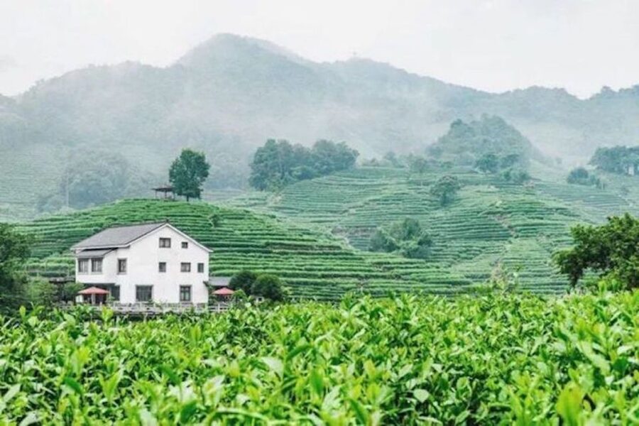 Shanghai: Private Guided Tour to Hangzhou by Bullet Train - Lunch is more than a quick stop