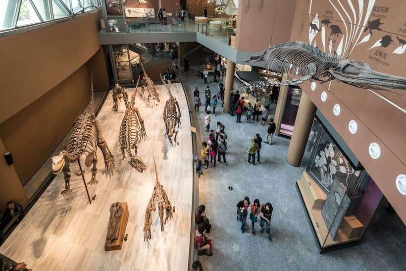 Shanghai: Private Tour of the Shanghai Museum - Key points to know before you book