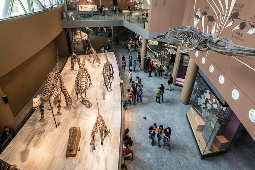 Shanghai: Private Tour of the Shanghai Museum - What the guide adds to the objects