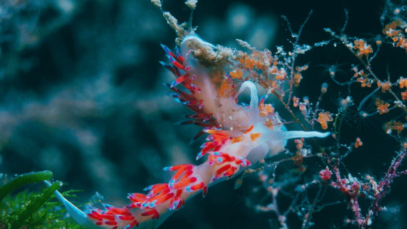 Shanghai: The Marine Wonders at Shanghai Ocean Aquarium - What families should know before booking