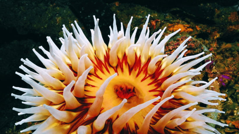 Shanghai: The Marine Wonders at Shanghai Ocean Aquarium - What could make the visit less enjoyable