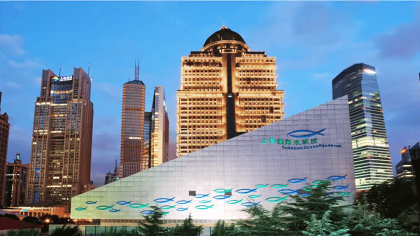 Shanghai: The Marine Wonders at Shanghai Ocean Aquarium - A world tour of marine life without leaving Shanghai