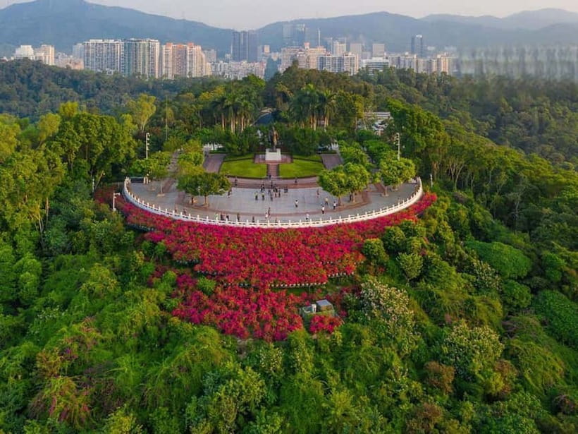 Shenzhen：8h City Walk & Future Experience Highlights Trip - The drone-delivered coffee moment