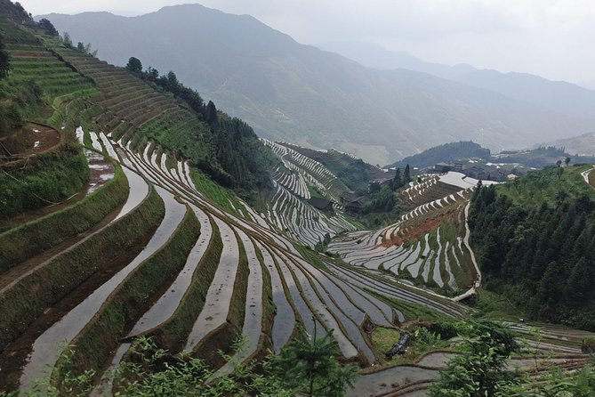 Short Li-River cruise and Longji Rice Terraces Private Day Tour - Walking through Ping’an and Dazhai