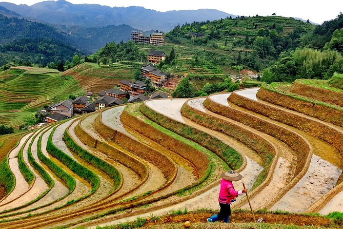 Short Li-River cruise and Longji Rice Terraces Private Day Tour - Getting value from a private day at $136.13