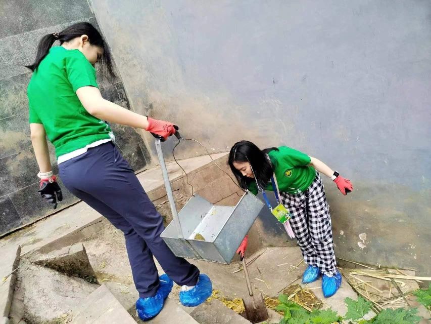 Sichuan: Big Panda Volunteer Day tour - Practical booking advice for Chengdu