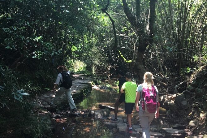 Small Group Hiking Day Tour to Lai Chi Wo - What the seven-hour schedule means for you