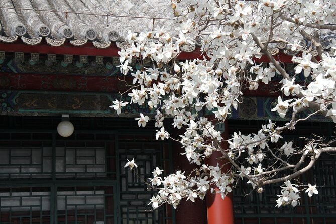 Summer Palace Ticket with optional Guided Tour - Why the Summer Palace deserves your time