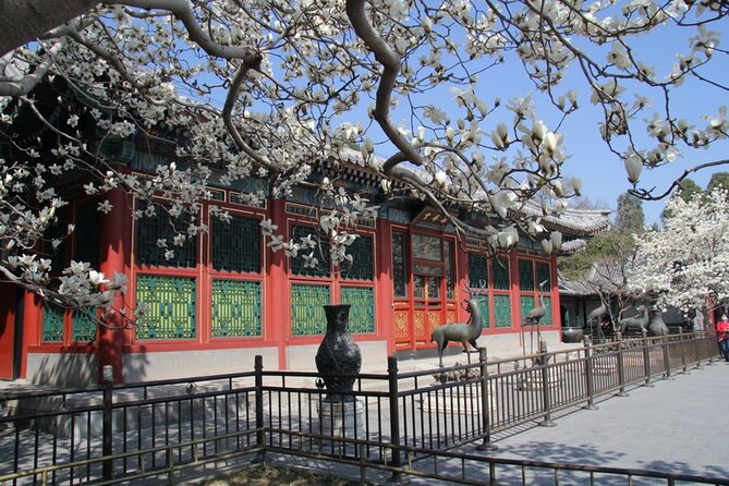 Summer Palace Ticket with optional Guided Tour - The Hall of Benevolence and Longevity, where imperial business began