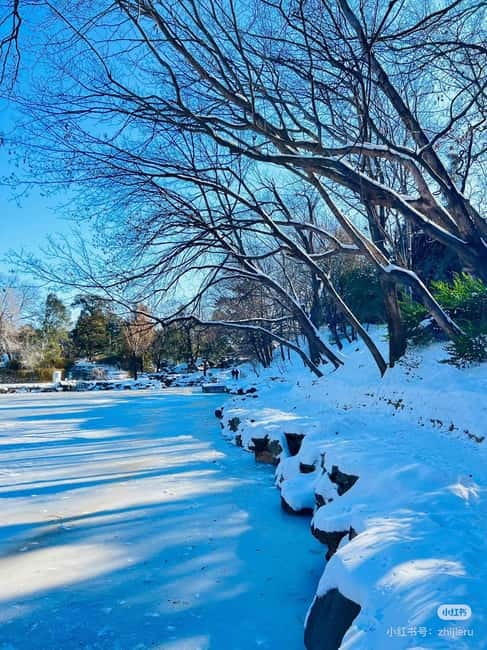 SummerPalace or temple of heaven Ticket with guide(optional) - Booking details worth checking twice