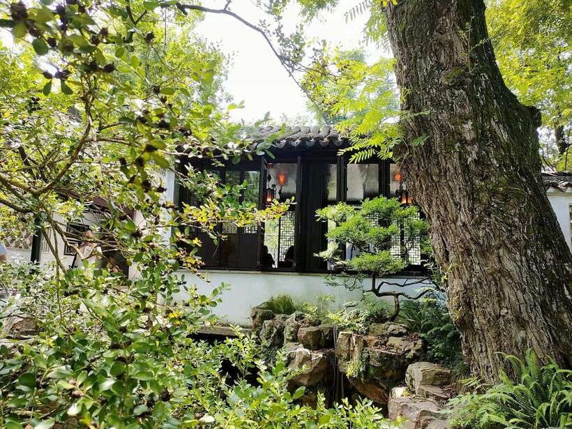 Suzhouand Zhouzhuang Private Guided Day Trip from Shanghai - The guide makes the biggest difference