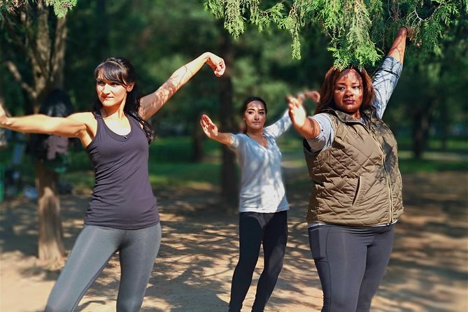 Tai Chi or Kung Fu plus Chinese Calligraphy Learning Class - What the Temple of Heaven Connection Really Means