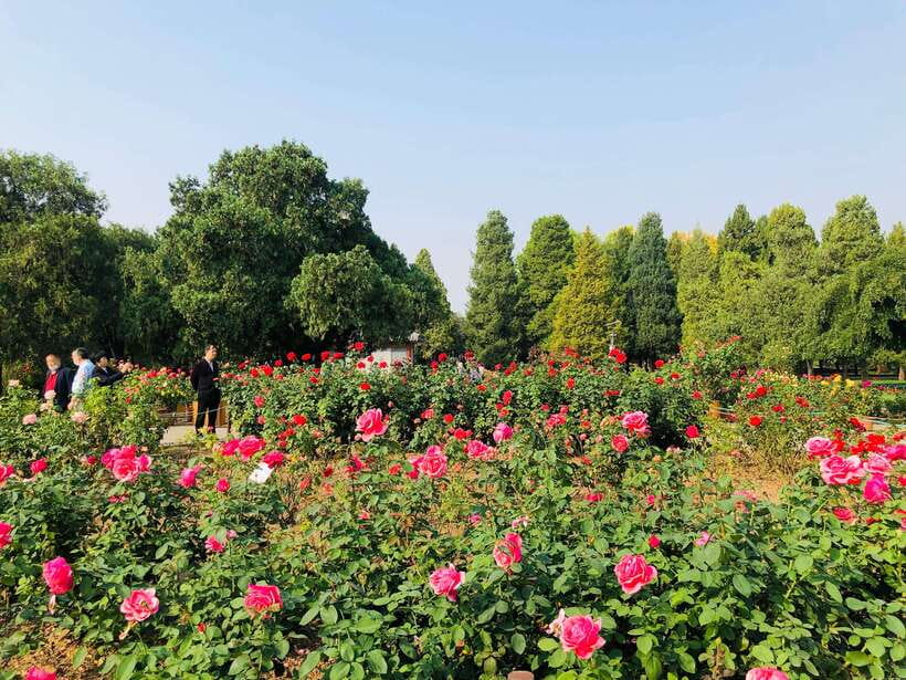 Temple of Heaven Ticket - What Sunflower Tours China does well