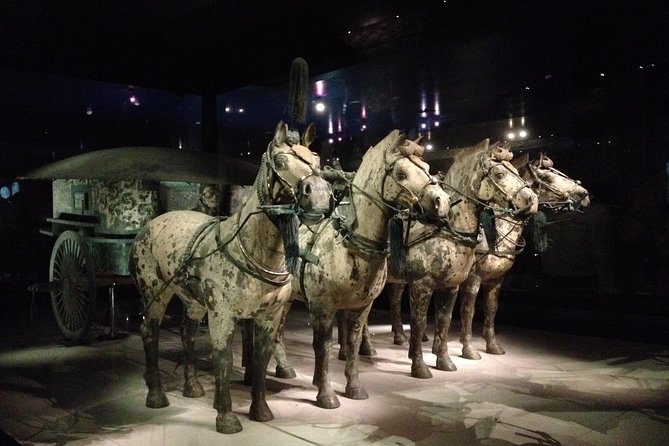 Terra-Cotta Warriors & Horses Essential Full Day Tour from Xi'an - Is $79 a fair price?