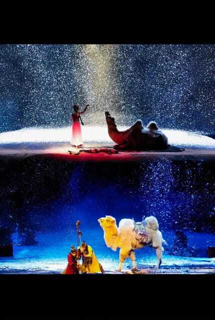 The Legend Of Camel Bell In Xi’An - Who should see The Legend of Camel Bell?