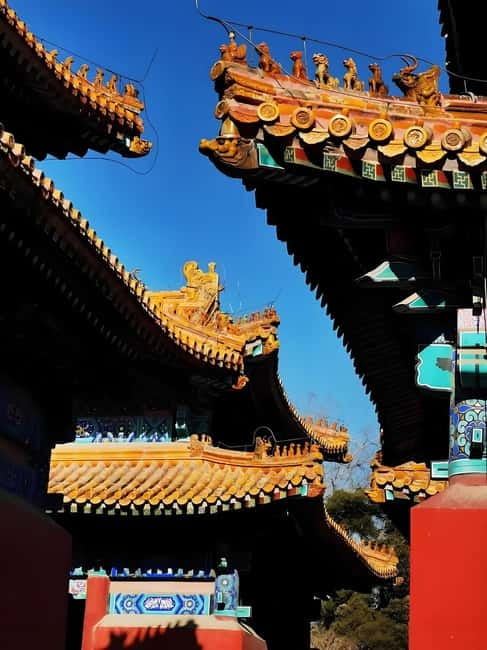 Tickets to all Beijing attractions (Forbidden City optional) - Weather, age, and what to pack