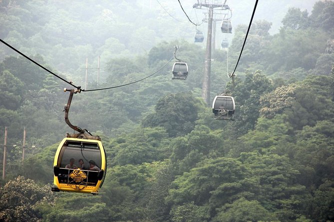 Visa-Free Private City Tour for Guangzhou Airport Layover Visitor - Cantonese dim sum is more than a lunch break