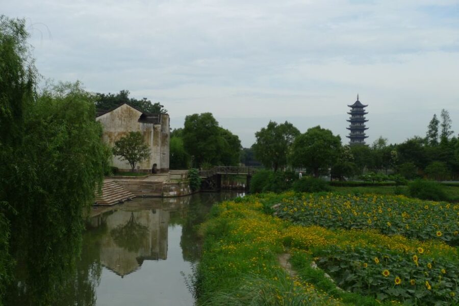 Wuzhen Private Full-Day Tour from Shanghai - Carved Houses, Bridges, and Canal Views
