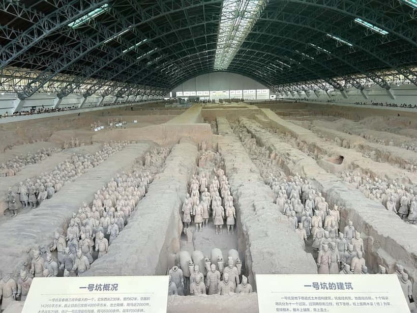 Xi'an: Exclusive Terracotta Army Tour & Local Family Lunch - Key points to know before booking