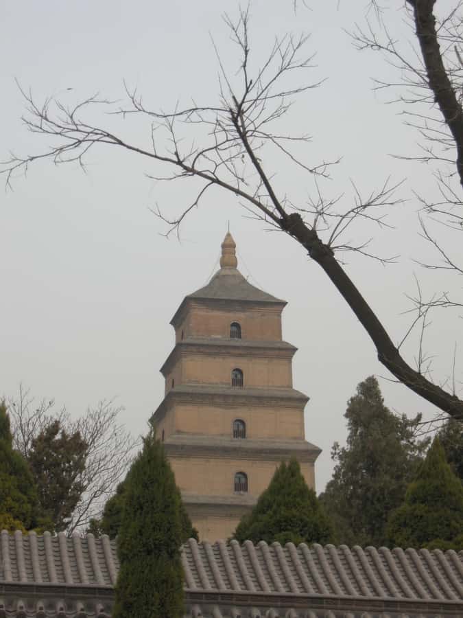Xi'an: Terra-Cotta Warriors Entry with Optional Guide - Why the Terracotta Warriors deserve half a day