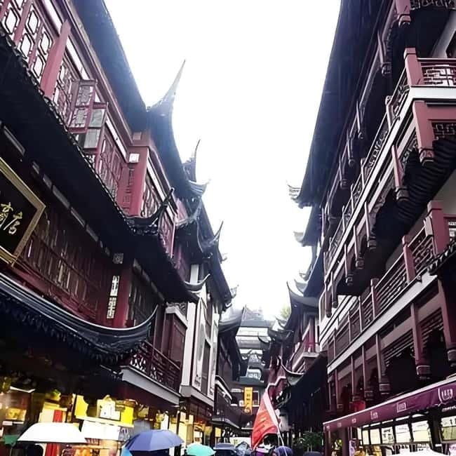 Yu Garden, Old Street, Bund & Zhujiajiao Water Town Bus Tour - Guides and group atmosphere