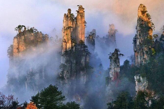 Zhangjiajie National Forest Park Entrance Ticket - Why Zhangjiajie National Forest Park is worth the trip