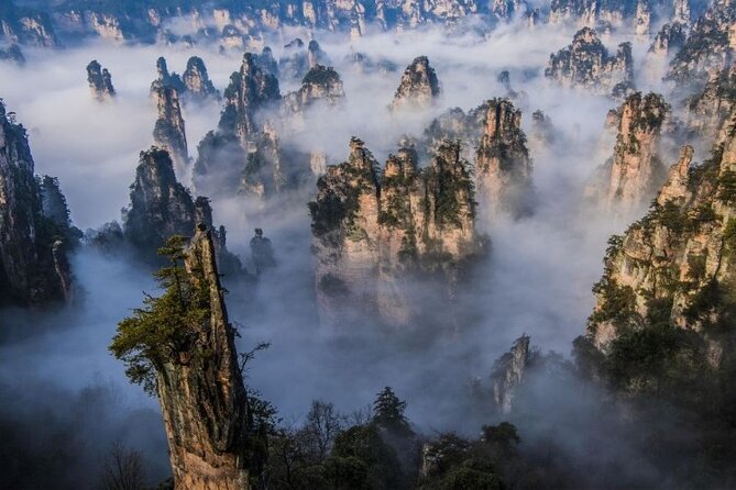 Zhangjiajie National Forest Park Entrance Ticket - Yuanjiajie and the Avatar-style stone pillars