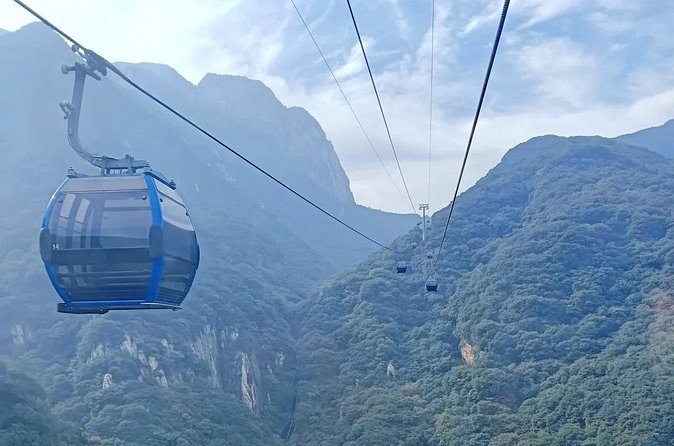 Zhengzhou Private Day Tour to Shaolin Temple and Longmen Grottoes - Who will enjoy this day most